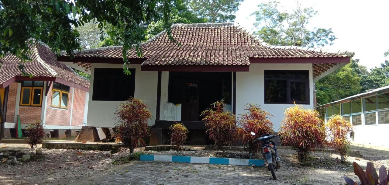 Sukamade Adventure Tour Package Bed & Breakfast Banyuwangi  Ngoại thất bức ảnh